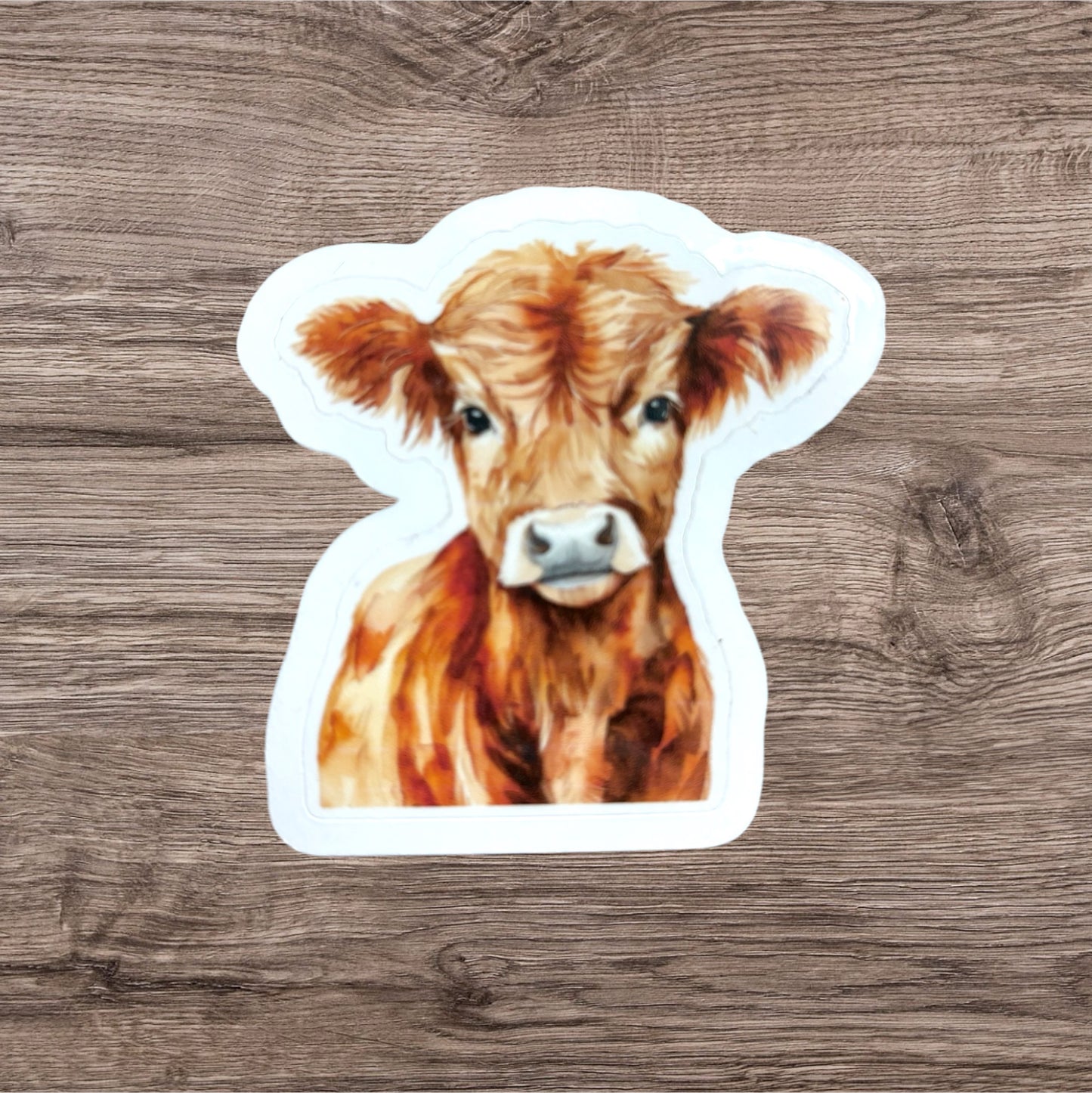 Highland Cow Sticker